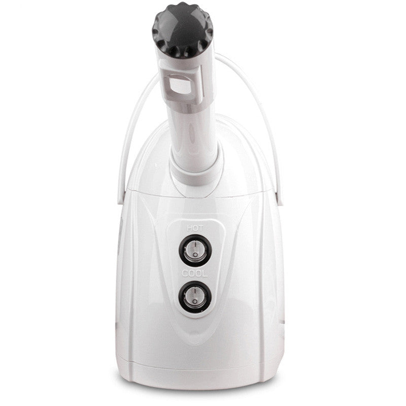 Hot & Cold Face Steamer