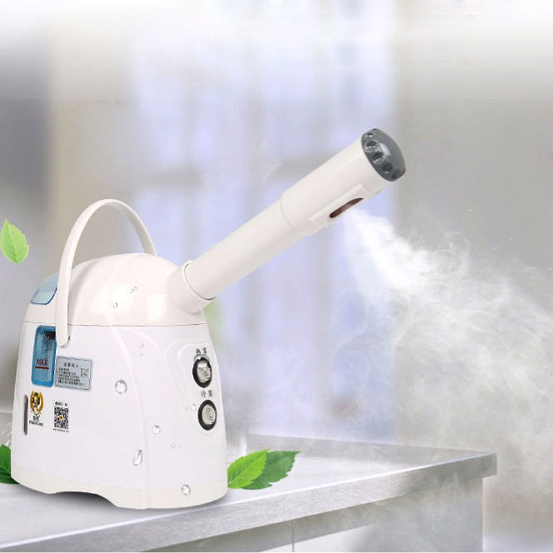 Hot & Cold Face Steamer
