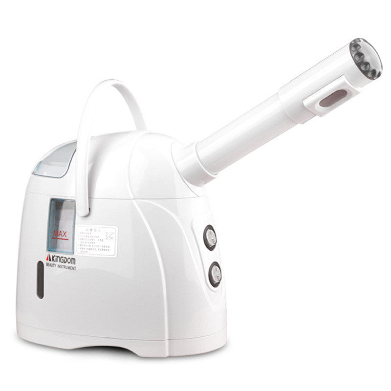 Hot & Cold Face Steamer