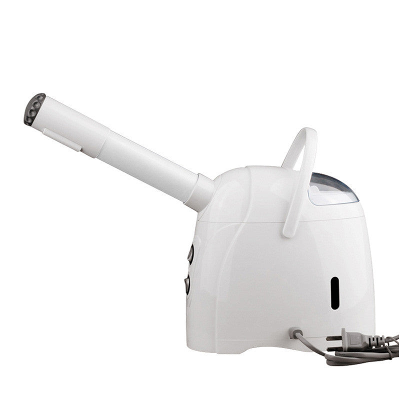 Hot & Cold Face Steamer
