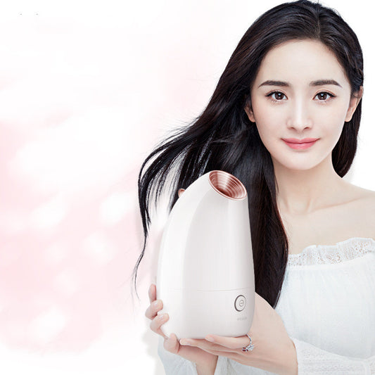 Beauty Face Steamer